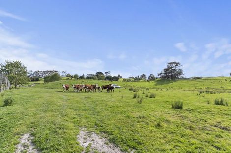 Photo of property in 132b Gatfield Road, Kaukapakapa, 0873