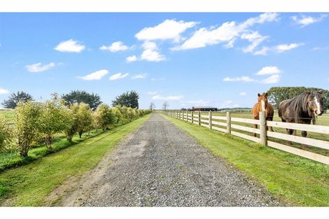 Photo of property in 390 Mill Road North, Myross Bush, Invercargill, 9876