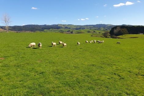 Photo of property in 777 Waitetuna Valley Road, Waitetuna, Raglan, 3295