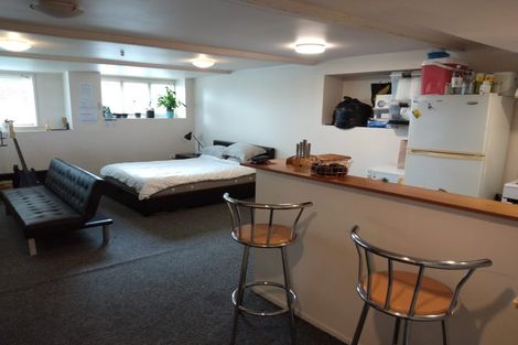 Photo of property in 120 Williamson Avenue, Grey Lynn, Auckland, 1021