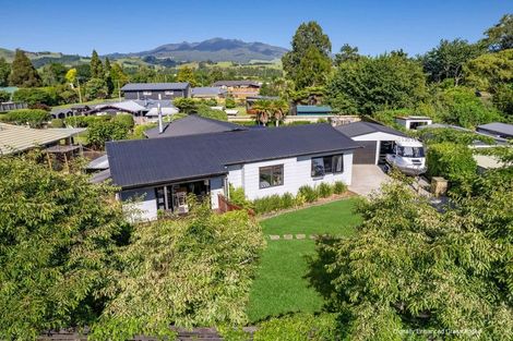 Photo of property in 146 Ross Street, Pirongia, 3802