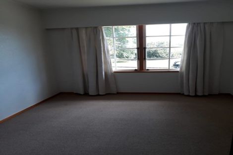 Photo of property in 20 Princess Street, Martinborough, 5711