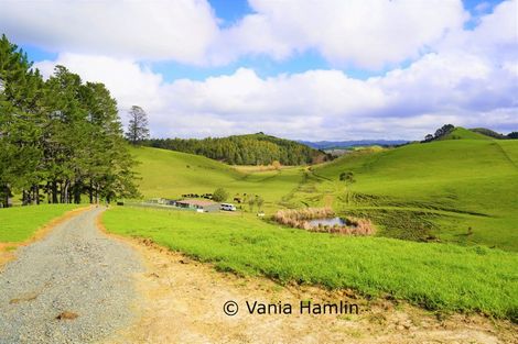 Photo of property in 533 Pataua South Road, Pataua South, Onerahi, 0192