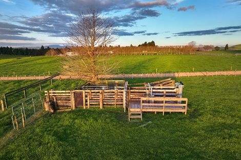 Photo of property in 298 Te Kawa Road, Te Kawa, Te Awamutu, 3873