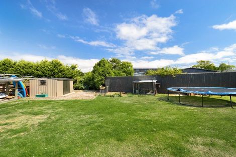 Photo of property in 155 Beach Street, Waikouaiti, 9510