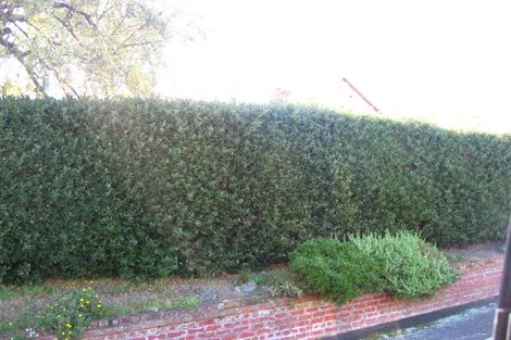 Photo of property in 33 Blacks Road, North East Valley, Dunedin, 9010