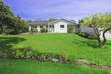 Photo of property in 3 Shortland Place, Havelock North, 4130
