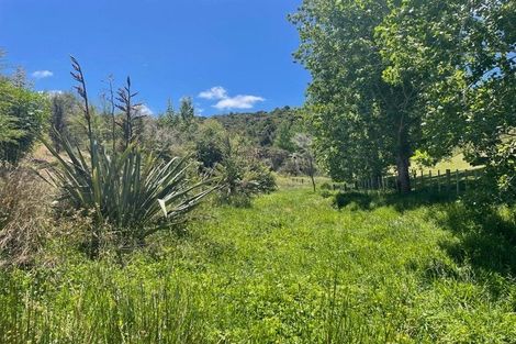 Photo of property in 78 Waiotahi Drive, Mangawhai, 0573