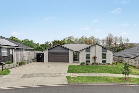 Photo of property in 31 Ruba Way, Ohauiti, Tauranga, 3112