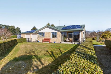 Photo of property in 426 Earlys Road, Cust, 7471