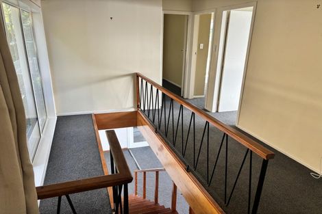 Photo of property in 41 Hungerford Road, Lyall Bay, Wellington, 6022