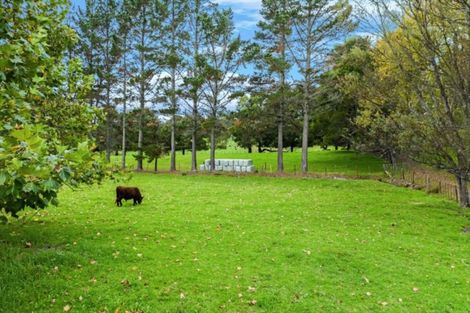 Photo of property in 75 Malone Road, Poroti, Whangarei, 0179