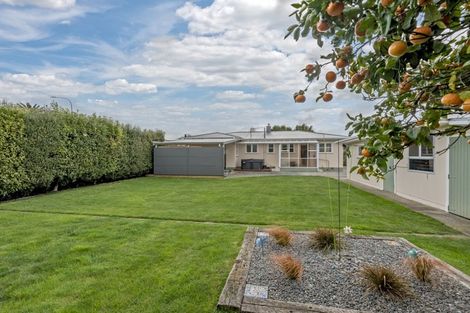 Photo of property in 4 Anzio Place, Awapuni, Palmerston North, 4412