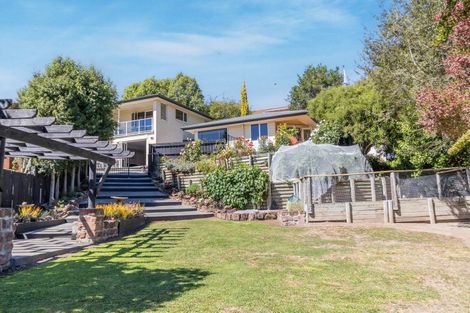 Photo of property in 19 Ameer Street, Pleasant Point, 7903