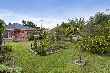 Photo of property in 160 Rosebank Road, Avondale, Auckland, 1026