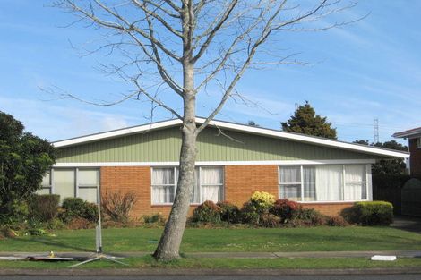 Photo of property in 131 Elliot Street, Pahurehure, Papakura, 2113
