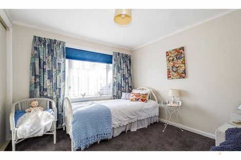 Photo of property in 271 Selwyn Street, Marchwiel, Timaru, 7910