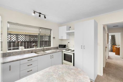 Photo of property in 6 Surrey Lane, Levin, 5510