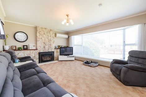 Photo of property in 17 Tararua Terrace, Cloverlea, Palmerston North, 4412
