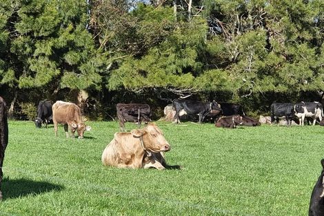 Photo of property in 1594 Millbrook Road, Taipuha, Paparoa, 0571