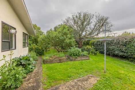 Photo of property in 16 Russell Street, Otane, 4202