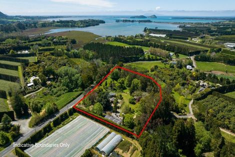 Photo of property in 62 Tuapiro Road, Tahawai, Katikati, 3170