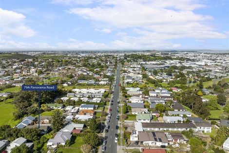 Photo of property in 79a Panorama Road, Mount Wellington, Auckland, 1060