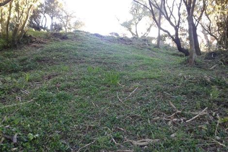 Photo of property in 53 Ngaio Gorge Road, Ngaio, Wellington, 6035