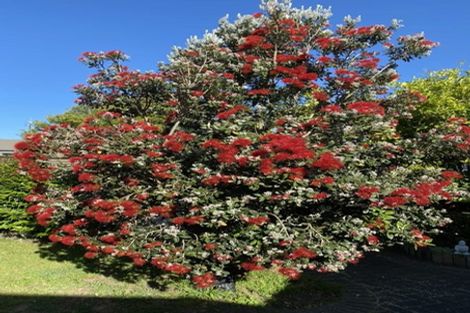 Photo of property in 45 Calypso Drive, Papamoa Beach, Papamoa, 3118