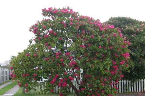 Photo of property in 18a Dawson Drive, Ngongotaha, Rotorua, 3010