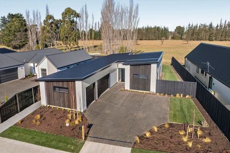 Photo of property in 21 Kelly Street, Rangiora, 7400