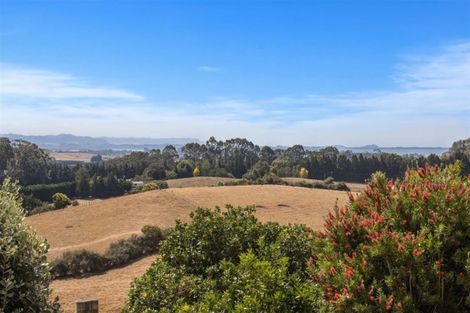 Photo of property in 77 Turner Road, Whakamarama, Katikati, 3181