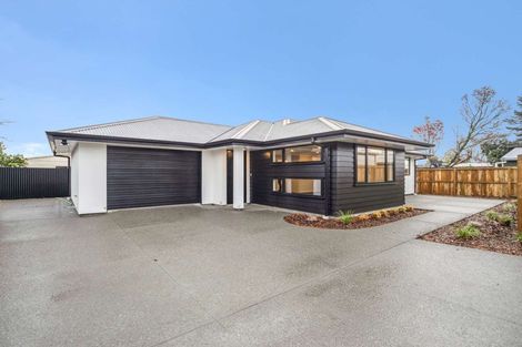 Photo of property in 164a Chalmers Avenue, Hampstead, Ashburton, 7700