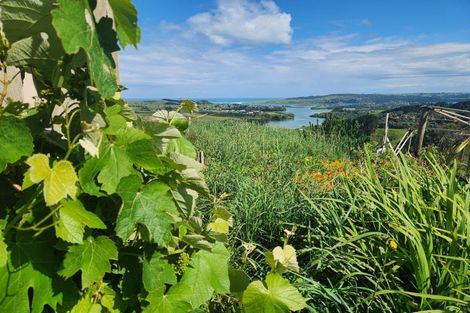 Photo of property in 132 Maungatawhiri Road, Raglan, 3295