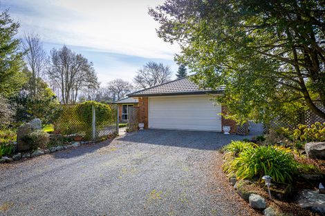 Photo of property in 36 Tancred Street, Geraldine, 7930