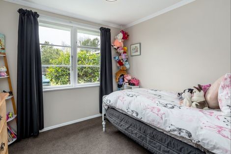 Photo of property in 20 Victoria Street, Pahiatua, 4910