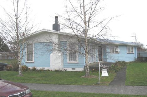 Photo of property in 29 Manchester Street, Solway, Masterton, 5810