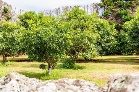 Photo of property in 70 Norris Road, Maungatapere, Whangarei, 0179