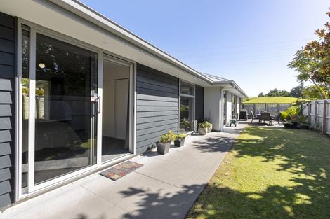 Photo of property in 17a Heta Road, Highlands Park, New Plymouth, 4312