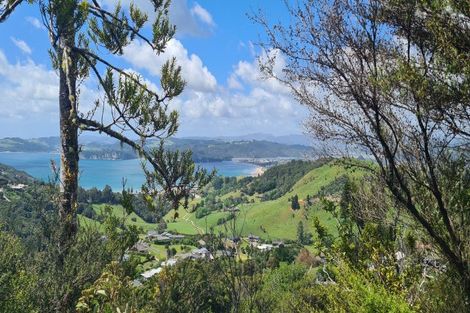 Photo of property in 57 Tarapatiki Drive, Whitianga, 3510