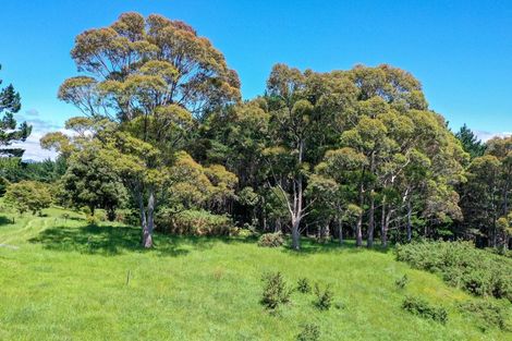 Photo of property in 425m Boat Harbour Road, Whenuakite, Whitianga, 3591