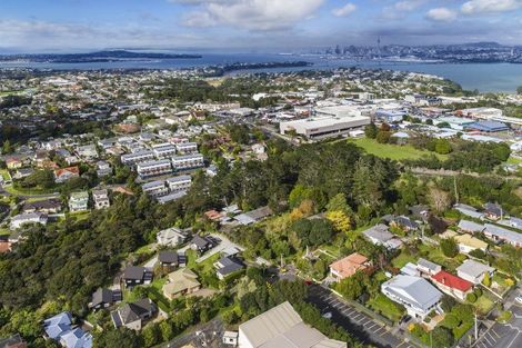 Photo of property in 3 John Court Street, Birkenhead, Auckland, 0626