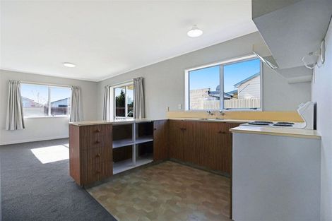 Photo of property in 1/106 Eton Street, Hampstead, Ashburton, 7700