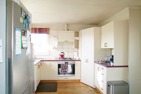 Photo of property in 46 Dryden Street, Milton, 9220