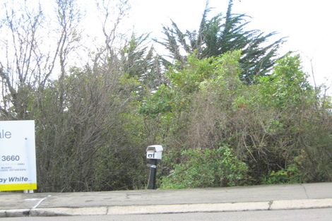 Photo of property in 61 Ravenswood Road, Saint Clair, Dunedin, 9012