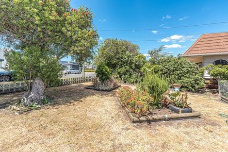 Photo of property in 49 Caius Avenue, Gonville, Whanganui, 4501