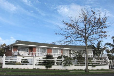 Photo of property in 127 Elliot Street, Pahurehure, Papakura, 2113