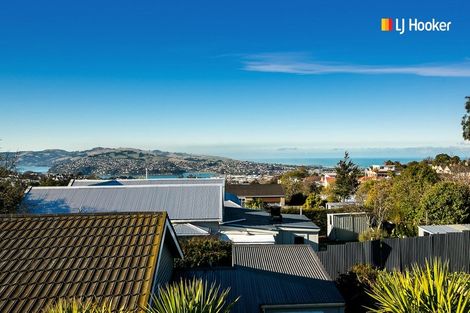 Photo of property in 49b English Avenue, Mornington, Dunedin, 9011