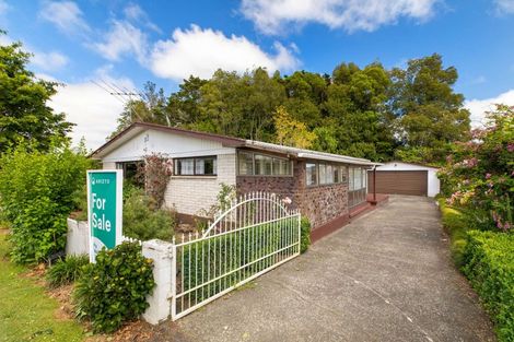 Photo of property in 183 Titi Road, Mauku, Pukekohe, 2678