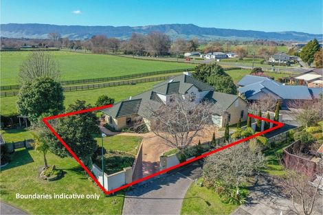 Photo of property in 13 Mannix Place, Matamata, 3400
